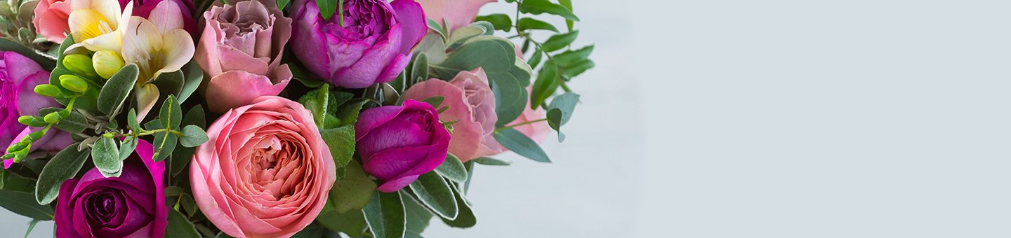 Luxury Roses