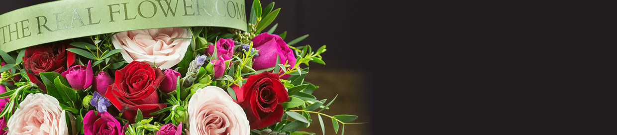 David Austin