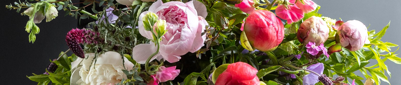 Peonies