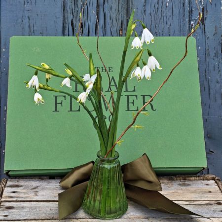 Flower of the Moment