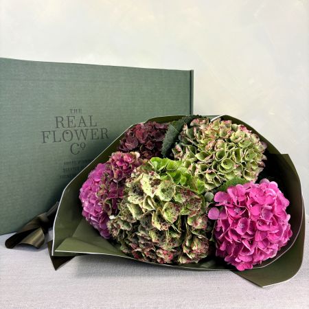 Hydrangea Farm Box