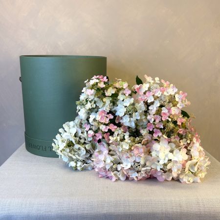 Hydrangea Paniculata Hat Box