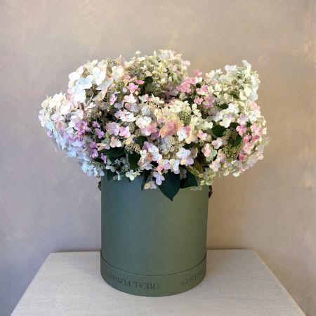 Hydrangea Paniculata Hat Box