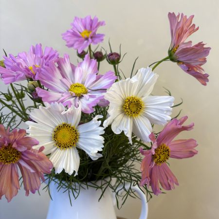 Seasonal Flower Jug
