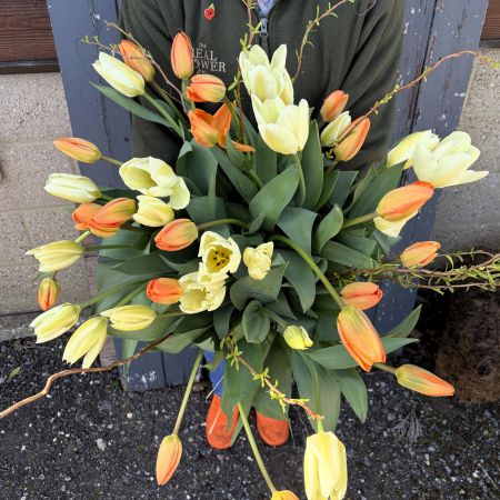 Tulip Temptation Bouquet