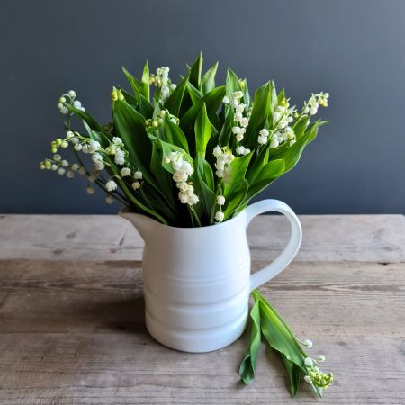 Lily Of The Valley Stem Box