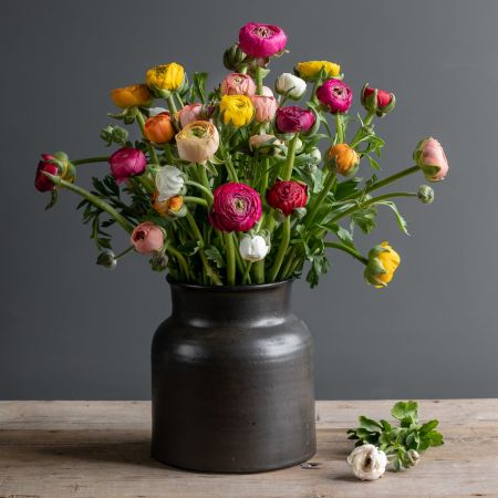 Ranunculus stem box pewter vase