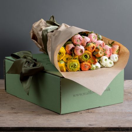 Ranunculus stem box