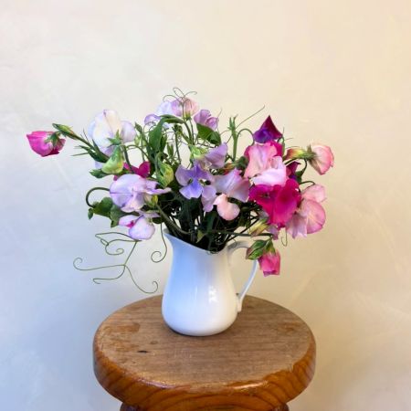 Sweet Pea Jug