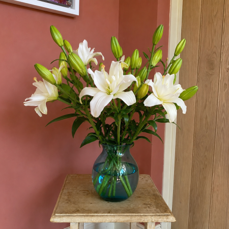 5 roselily stems