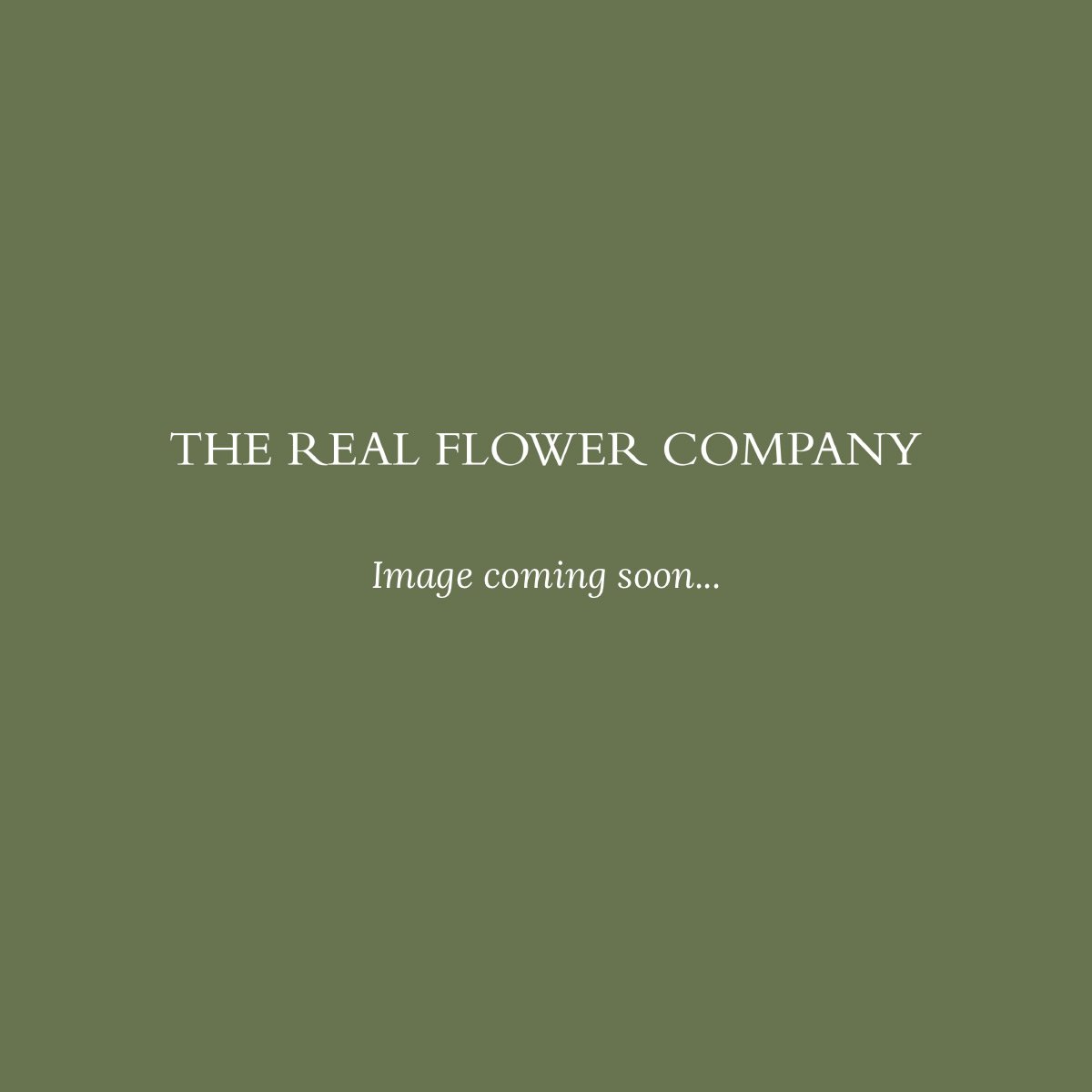 Josie D. Appleton: Huge Bouquet Of Flowers Uk : 6 Hot Wedding Bouquet ...