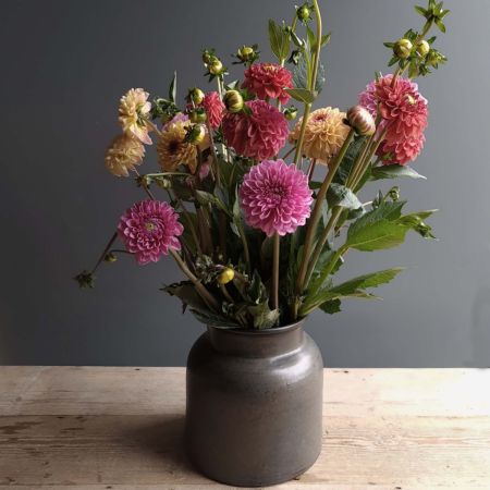english dahlias