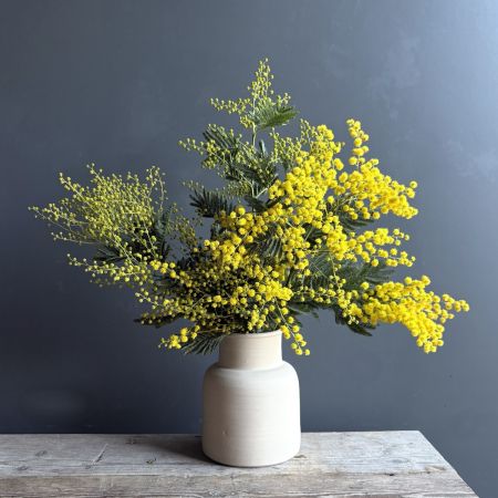 Mimosa Flower Farm Box