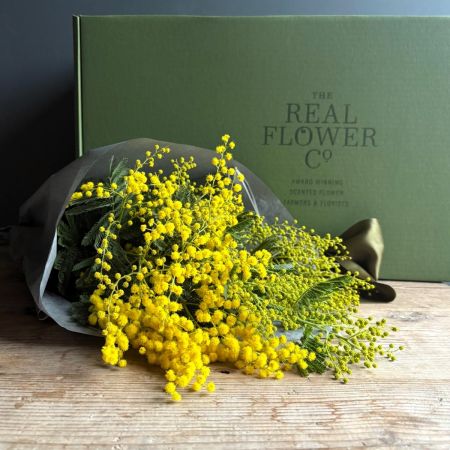 Mimosa Flower Farm Box