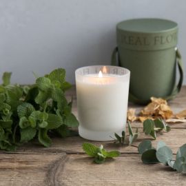 Wild Mint Scented Candle