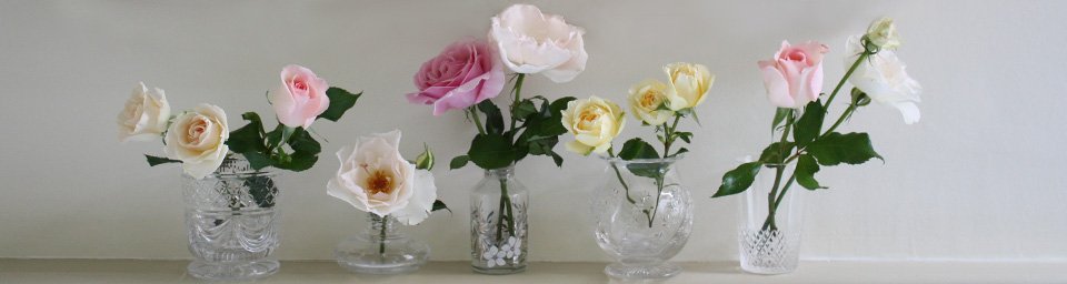 Flowers With Vase