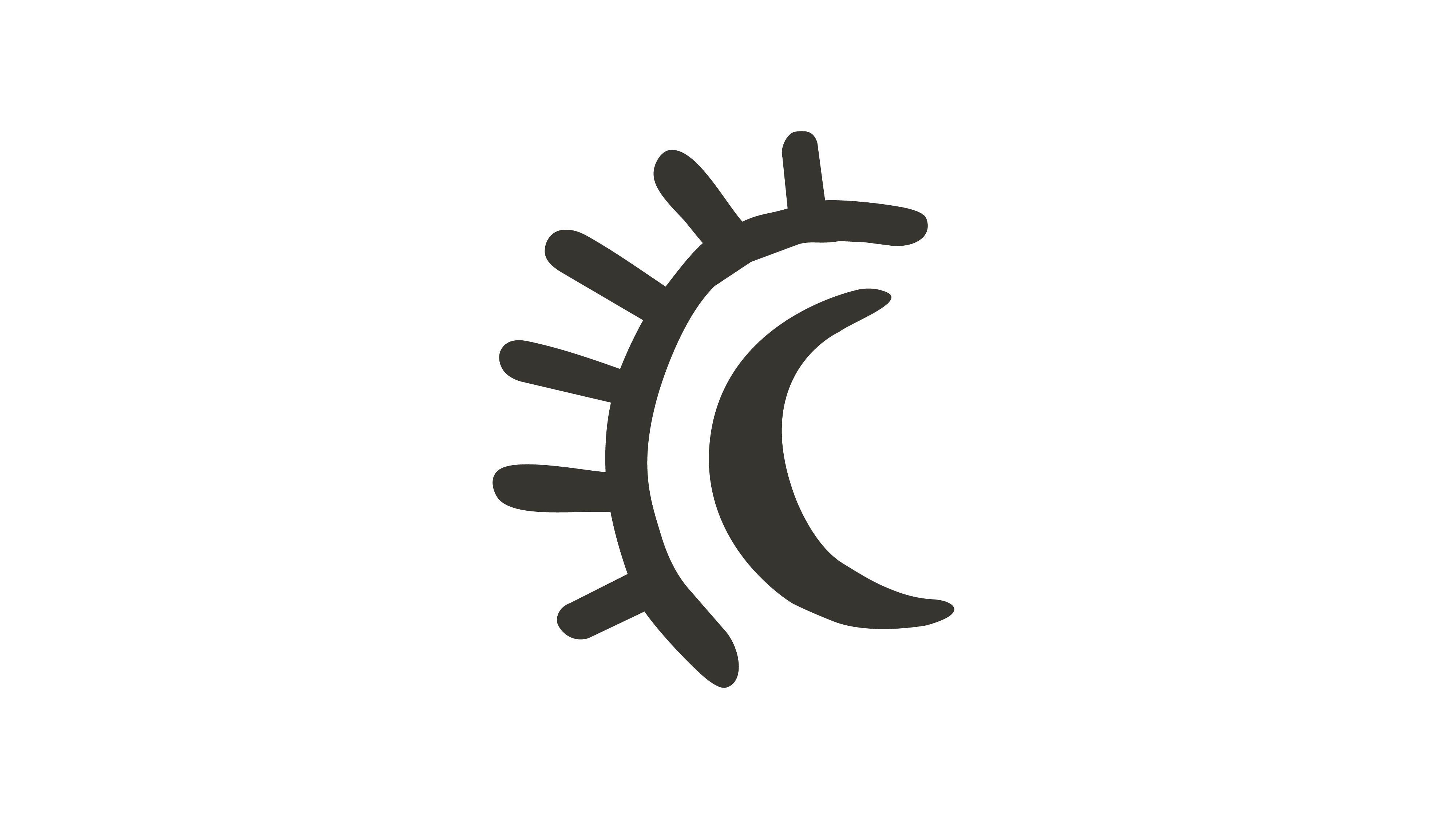 Icon 1