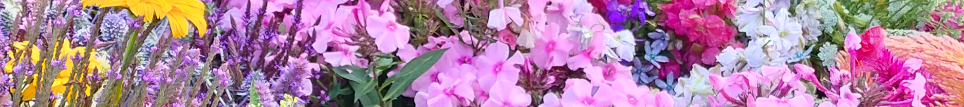 Wholesale Flowers Banner