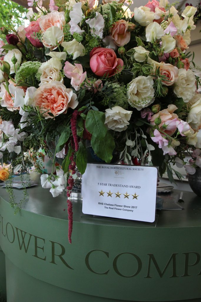 Five Stars Flowers