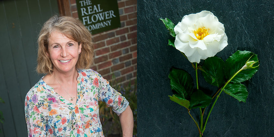 Rosebie Morton for British Flower Week with her favourite rose Margaret Merril
