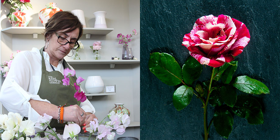 Catherine for British Flower Week with her favourite English rose Rachel Louise Moran