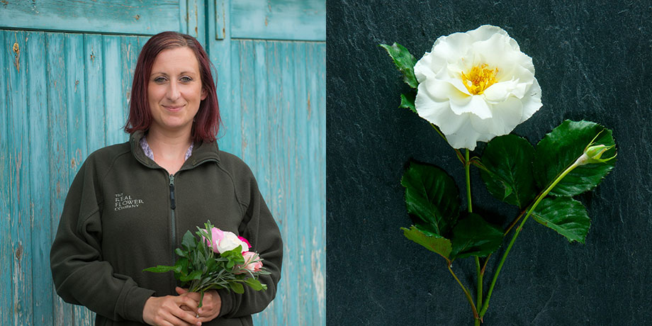 Verity for British Flower Week with her favourite English rose Margaret Merril