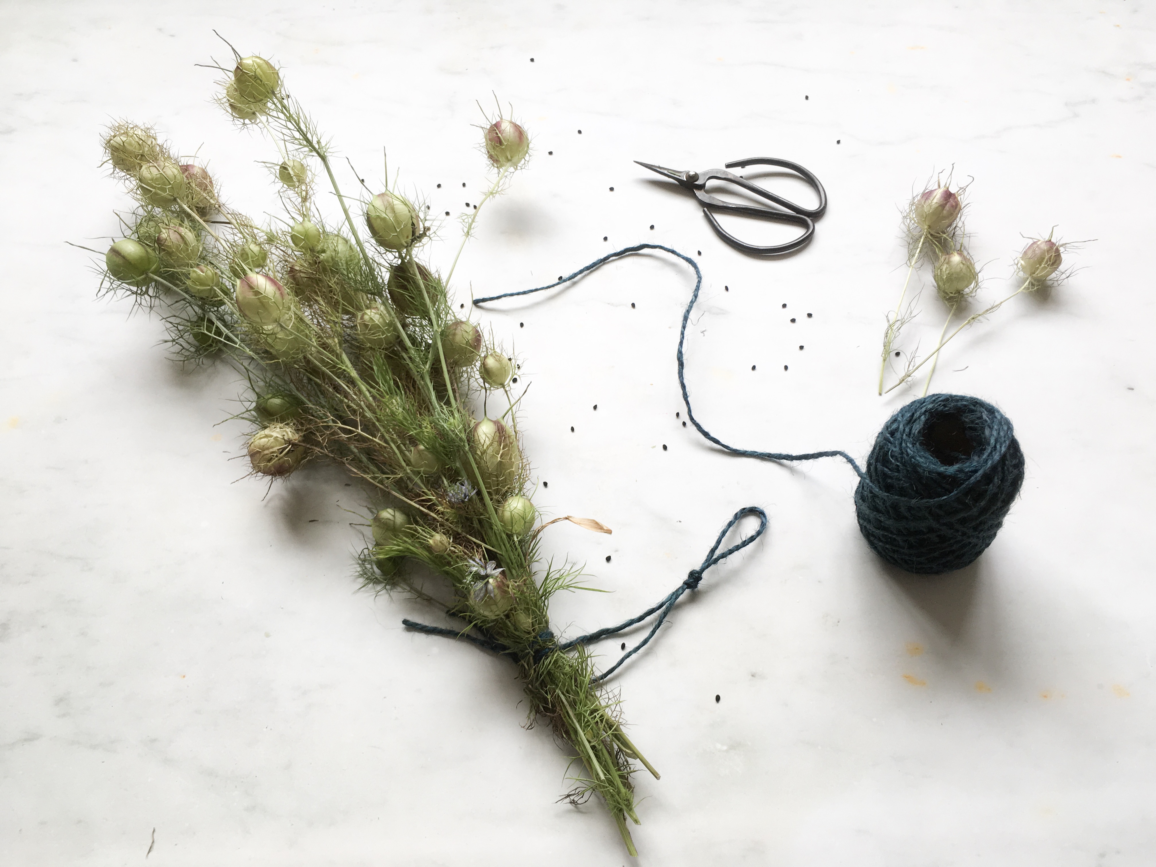 How to dry flowers The Real Flower Company blog
