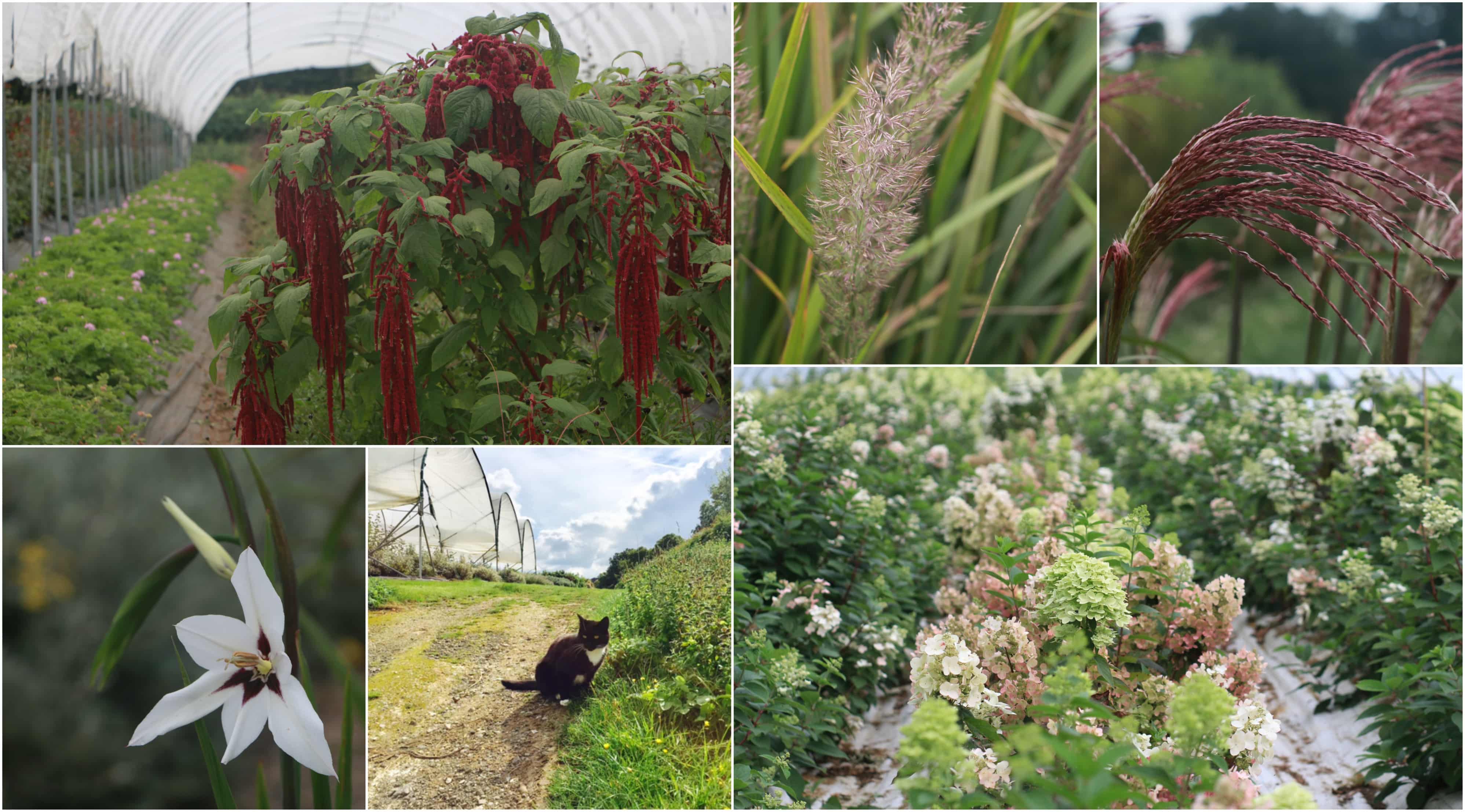 september on the farm