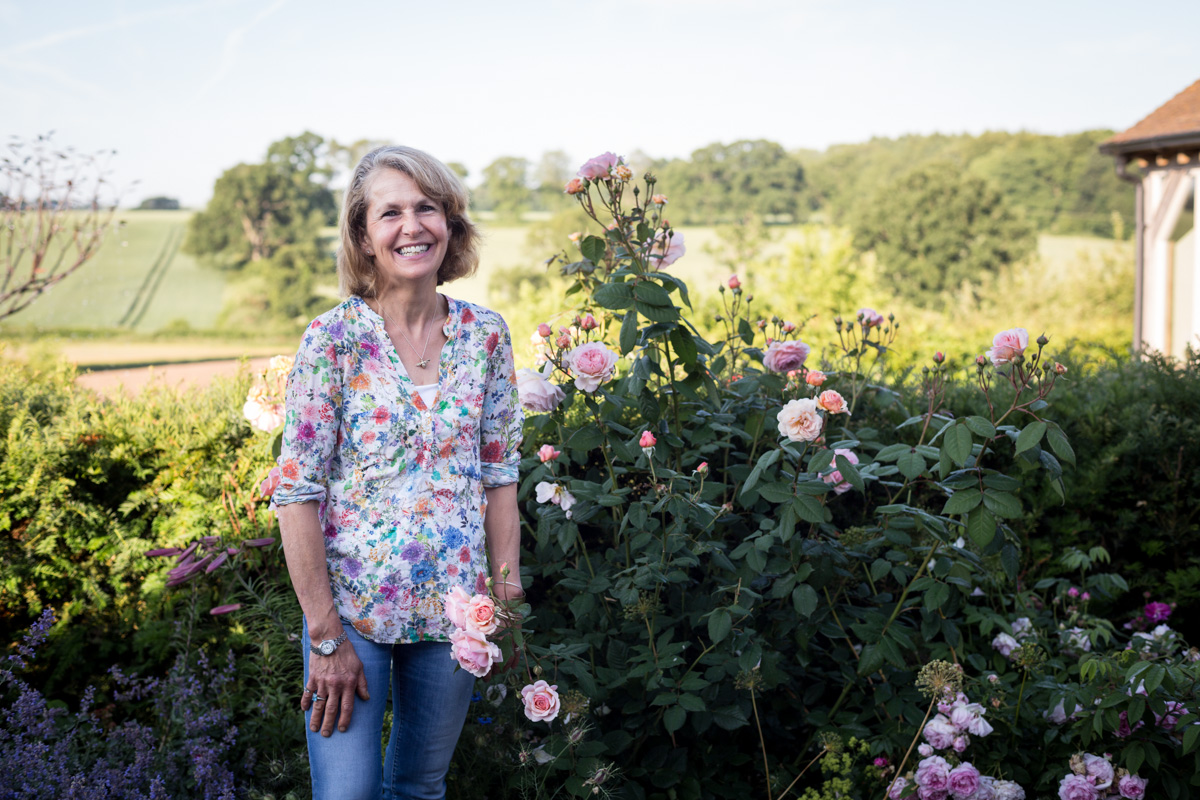 Rosebie’s favourite roses to plant now The Real Flower Company blog