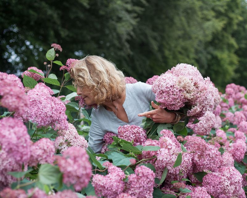 caring for cut flowers in the heat