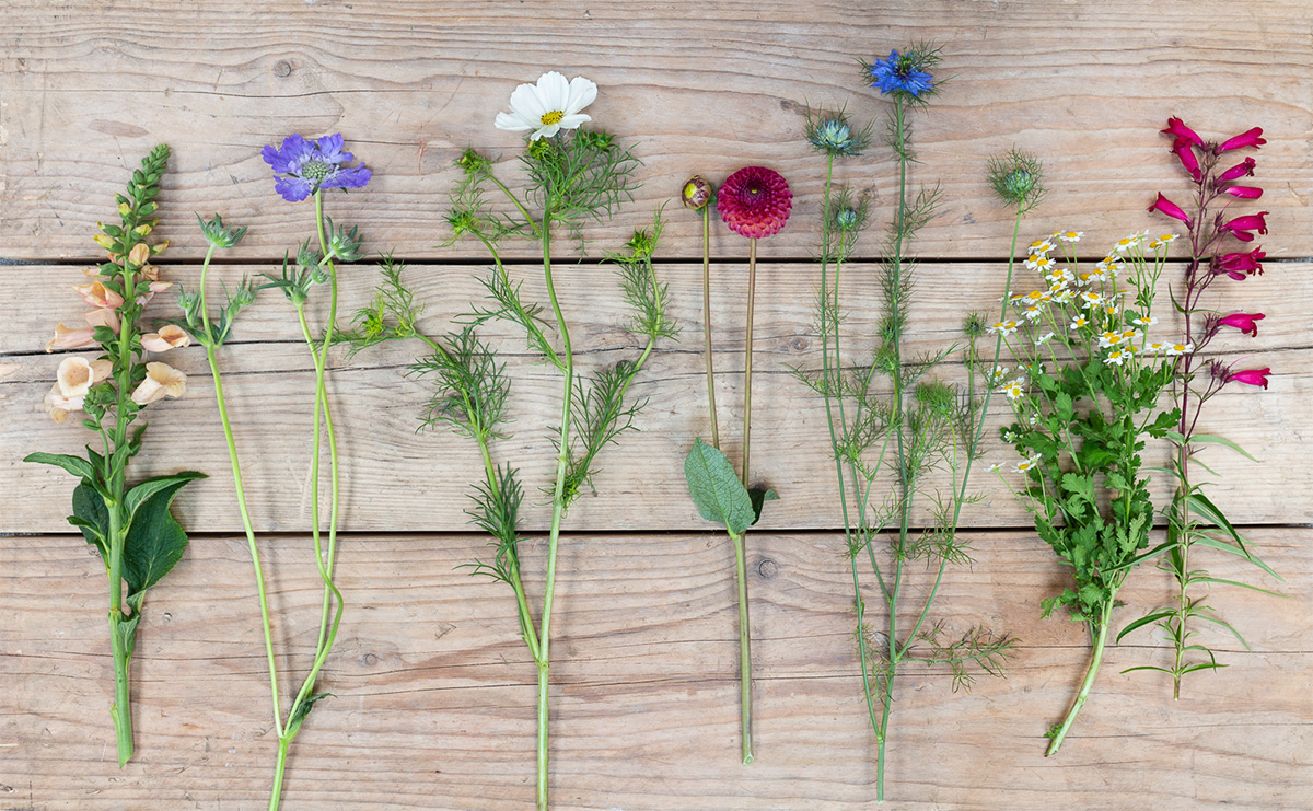 English Seasonal Flowers That Make The Cut The Real Flower Company Blog