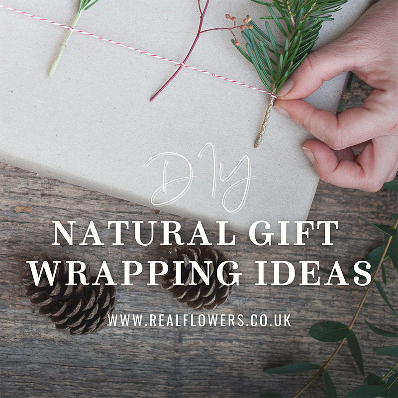 Natural Gift Wrapping Ideas Using Our Fresh From the Farm Box