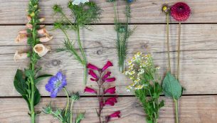English Seasonal Flowers That Make The Cut