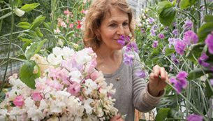 How to Grow Sweet Peas in a Pot