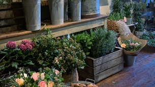 How to Make a Wreath + Christmas Decorating Tips