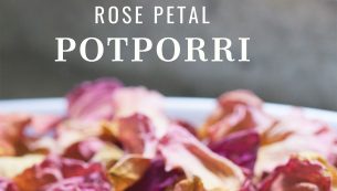 Potporri 1x1