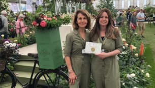chelsea flower show blog