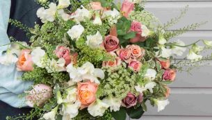 how to grow sweet peas