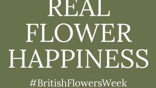 real flower happiness