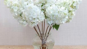 vanilla_fraise_english_hydrangeas